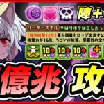 【パズドラ】ピトーループが快適すぎる！！裏億兆攻略配信！！【初見さん大歓迎】