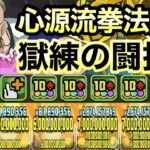 【パズドラ】心源流拳法師範ネテロ×キャプテンマーベル！獄練の闘技場！