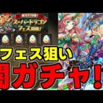 【ガチャ動画】新フェス限狙い！闇ガチャ!?スーパードラゴンフェス引くぞ！【パズドラ】