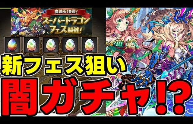 【ガチャ動画】新フェス限狙い！闇ガチャ!?スーパードラゴンフェス引くぞ！【パズドラ】