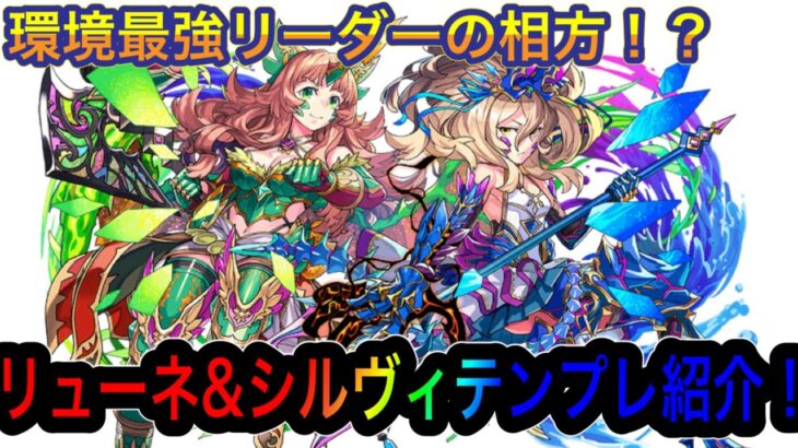 【パズドラ】新フェス限はあの最強キャラの相方！？リューネ&シルヴィテンプレ紹介！！