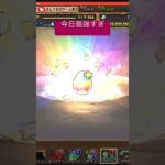 【ガチャ】1日1回単発ガチャ（931日目）#shorts #short #game #gaming #パズドラ #ガチャ #サンリオのゲーム実況チャンネル #バレンタインガチャ #Valentine