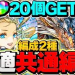 【共通編成】魔法石20個を今すぐゲット！シヴァドラ&ノア条件クリア対応編成！歴世の杯と神創の雫【パズドラ】