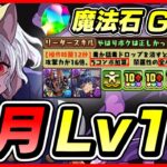 【パズドラ】2月のクエダン15初見攻略配信！！～ピトーループ編成～【初見さん大歓迎】