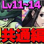 2月クエストLV11-LV14をメルエム共通編成で攻略！魔法石50個を15分でゲット！やらないと損！【パズドラ】