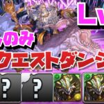 【ズラしのみ】2月クエストダンジョンLv12クリア編成紹介！！【パズル&ドラゴンズ】