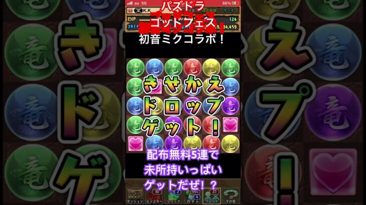 パズドラゴッドフェス初音ミクコラボガチャ！配布無料5連でコラボキャラ出るかな！？#パズドラ#初音ミク#コラボ#ガチャ