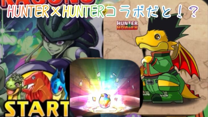 【パズドラ】HUNTER×HUNTERコラボだって！？@otoginozyuunin