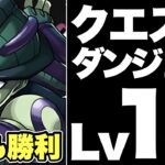 【Lv13,15共通編成】メルエム3体ループで魔法石28個！サブと武器も代用多数で組みやすい！編成紹介＆立ち回り＆代用解説！【パズドラ】