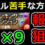 【パズル苦手な方必見！】黒メダル大量ゲット！二宮杯の報酬狙い立ち回り解説！ランダン【パズドラ】