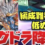 【リクエスト】ラグナロク＝ドラゴン降臨シヴァドラ周回編成紹介！！【パズル&ドラゴンズ】