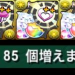 【パズル不要】爆速潜在＋＋乱獲編成と魔法石バグがヤバすぎる【パズドラ】