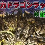 【超重力ドラゴンラッシュ】アグリゲート 編成❗️ #パズドラ