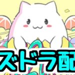 【生放送】今日も全力でパズドラ配信【パズドラ】