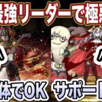 【パズドラ】ライルの交換迷ってる人向け！自陣1体でも極悪楽勝で勝てるくらい激強です！