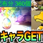 【酒ガチャ】無課金が魔法石350個であの最強キャラをゲット！？！？！？【しげパズ#1018】