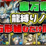 【パズドラドラゴン縛り】ずっと正方形組むだけ!?ノヴァ×ビアードンで裏万寿を9分台爆速周回するパーティーがやばい!!【ゆっくり実況】