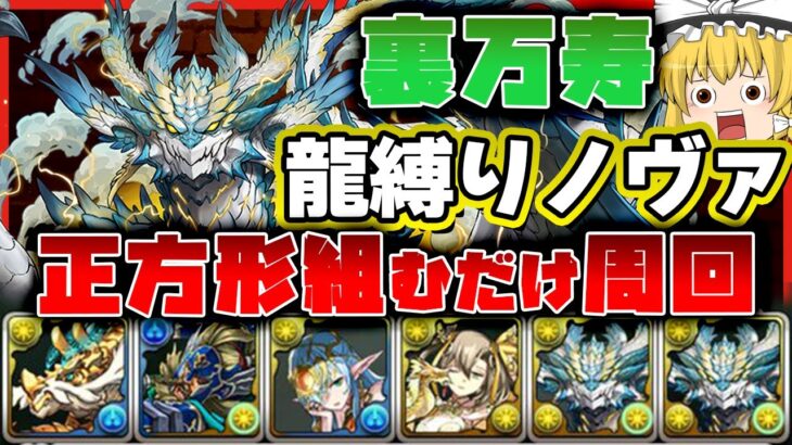 【パズドラドラゴン縛り】ずっと正方形組むだけ!?ノヴァ×ビアードンで裏万寿を9分台爆速周回するパーティーがやばい!!【ゆっくり実況】