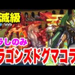 【BOSSワンパン】ドラゴンズドグマ壊滅級 正月ノルディス周回編成紹介！！【ドラゴンズドグマコラボ】【パズル&ドラゴンズ】