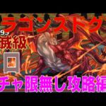 ドラゴンズドグマ 壊滅級 ガチャ限無しソロ攻略編成(パズドラ/パズル&ドラゴンズ/PUZZLE&DRAGONS)