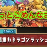 パズドラ配信　超重力ドラゴンラッシュ！［２］やるよ［参加型］