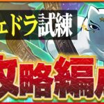 【試練ダンジョン】メジェドラ試練進化用編成！正月ノルディスで楽々クリア！【パズドラ】