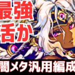 【パズドラ】平成最強リーダーが復権！個人的理想編成も紹介！試練闇メタ×メタルカストル汎用編成紹介！