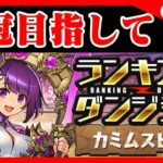 🔴【カミムスビ杯】本垢で20万目指して！！【パズドラ雑談配信】 #パズドラ　#雑談　#ラジオ 　#縦型配信