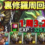 【パズドラ】正月ノルディスで裏修羅ランク上げ編成‼︎1周で3.2億経験値稼げる時代に‼︎【パズドラ実況】