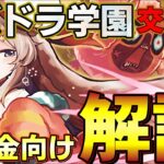 【パズドラ】学園交換所解説‼︎無課金向け超厳しめ評価‼︎交換推奨は2体‼︎【パズドラ実況】