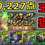 【シルヴィ杯】22万点越えも狙える！王冠狙い立ち回り解説！ランダン【パズドラ】