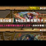 【パズドラ】新学期ガチャ無料＋α　4垢目【パズル＆ドラゴンズ】