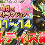 【魔法石50個】4月クエストLv.11〜14を正月ノルディスで攻略！【パズドラ】