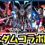 【生放送】ラクスが欲しいガンダムコラボが始まったのに寝坊してしまいました。【パズドラ】