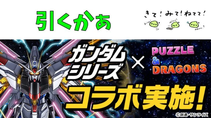 ガンダムコラボがきたらしい【パズドラ】