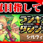 🔴【ランダンシルヴィ杯】王冠目指して！！【パズドラ雑談配信】 #パズドラ　#雑談　#ラジオ 　#縦型配信