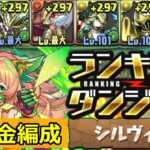 【パズドラ】シルヴィ杯 無課金編成 立ち回り解説