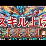 学園ヴォルスーンスキル上げ周回　シヴァドラずらし【パズドラ/新学期】