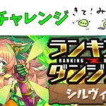 ランダン引退チャレンジシルヴィ杯【パズドラ】