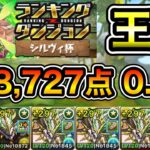 【パズドラ】改良版！代用解説付き！王冠5%以内！ランキングダンジョン！シルヴィ杯！4回パズルするだけ！余裕で王冠圏内！228,727点！0.1%！【ランダン】【概要欄に立ち回りなど記載】