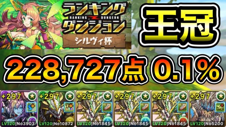 【パズドラ】改良版！代用解説付き！王冠5%以内！ランキングダンジョン！シルヴィ杯！4回パズルするだけ！余裕で王冠圏内！228,727点！0.1%！【ランダン】【概要欄に立ち回りなど記載】