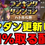 【生放送】ランダン0.1%取る配信！ハトホル2024杯【パズドラ】