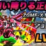 インフィニットジャスティス弍式で5月クエスト15に介入！【無課金パズドラ】【しばいぬ丸#280】