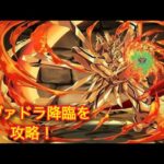 【完全攻略】シヴァ=ドラゴン降臨でGガンダムをサブに携えて攻略してみた！【パズドラ】【ガンダムパーティー】