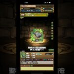 パズドラ酒ガチャ木属性評価「このペースだと光と闇間に合わないのでは…？」#パズドラ #パズドラ実況 #歴世の杯と神創の雫 #葉緑体のパズドラ #shorts