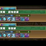 パズドラ無課金、降臨キャラチーム