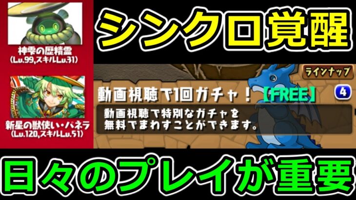 【新要素】強力だけど解放できずに地獄を見る可能性も！シンクロ覚醒に向けて日頃意識すべき点を解説！【パズドラ】