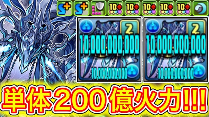 【最強】新キャラの『センキョウ』の火力がぶっ壊れすぎてやばい！！！！ 【パズドラ 新センキョウ】