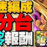 【交換最終日】5分台安定！マスターガンダム万寿周回編成！4体確保はあり！？【パズドラ】