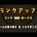 今更ランク1000に到達せし者(パズドラ/パズル&ドラゴンズ/PUZZLE&DRAGONS)